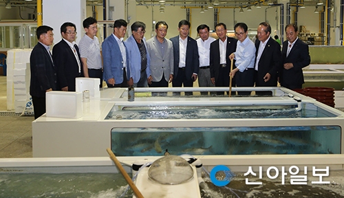 안동시의회 산업건설위, 주요현장 방문