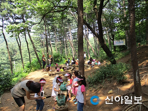 광진구 아차산 유아숲 체험장 조성 추진