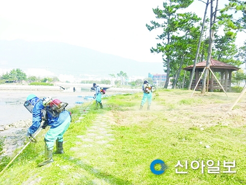 진해구, 녹지 조경지 정비
