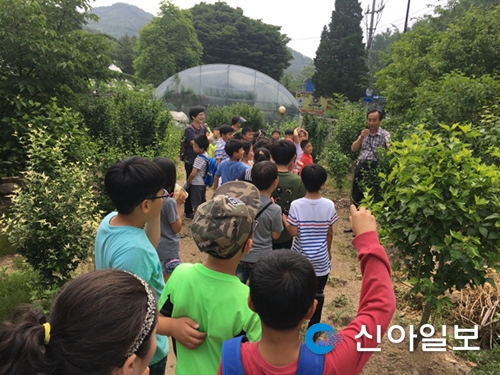 충남농업기술원, 농촌체험학습장 13곳 소개