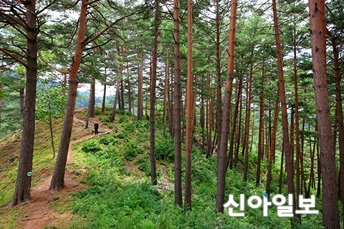 생태테마관광 육성 사업에 문경·울진 선정