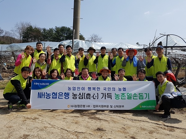 NH농협은행, 농촌 일손돕기 실시