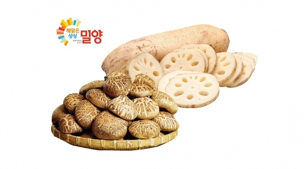 밀양 농산물 전국 GS수퍼마켓에 산지 직송 판매된다