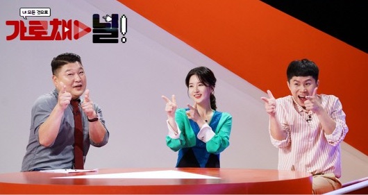 가로채널