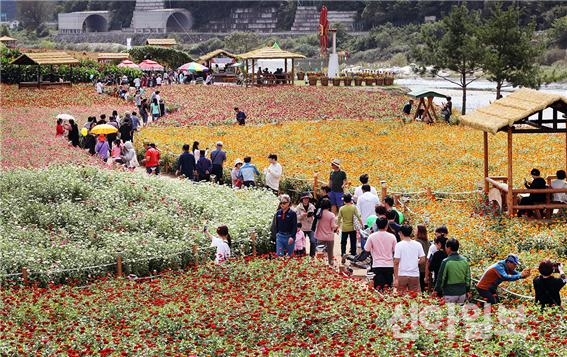 ‘2018 평창백일홍축제’ 성황리에 막 내려