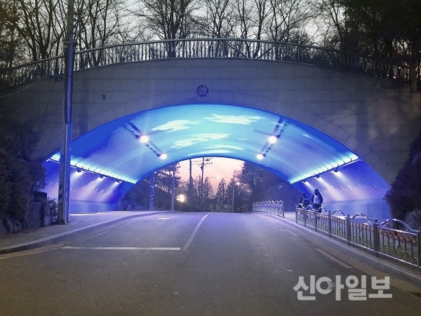 동작구, 대방동 용마무지개길 조상사업 보고회 개최