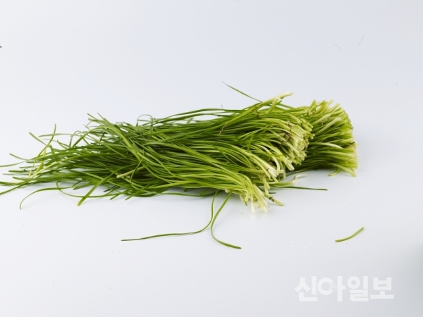 씻은 채소 실온 보관시 유해균 급증…식중독 위험↑
