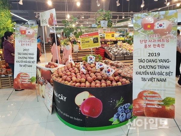 단고을 단양죽령사과, 베트남 시장 공략