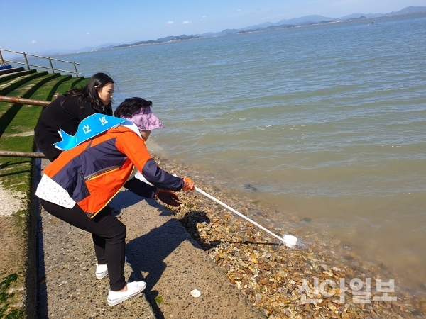진도군, 비브리오패혈증 예방관리 철저