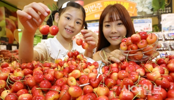 [포토] 롯데마트 “고당도 스카이라래 체리 맛보세요”