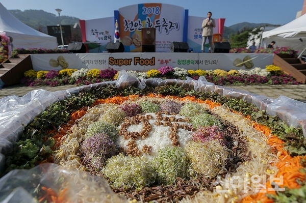 천안시, ‘2019 천안 호두축제’ 개최
