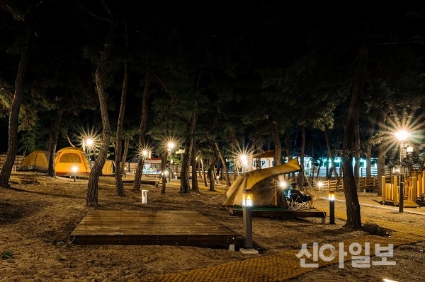 삼척시, 바다·강·산 품은 친환경 국민여가캠핑장 개장