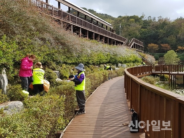 진해구 드림파크, 생태 친환경 희망근로 사업으로 수국원 조성