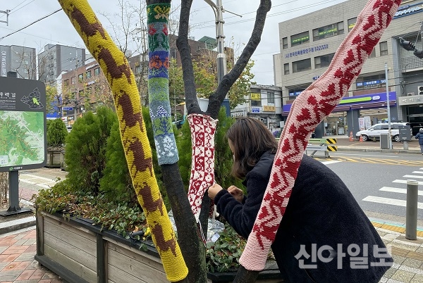 서대문구청 광장 나무들, 손뜨개 겨울옷 입었다