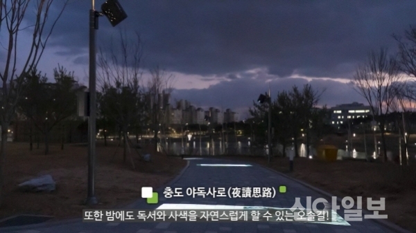 충남도서관, 내년부터 뒷길 특수조명 운영