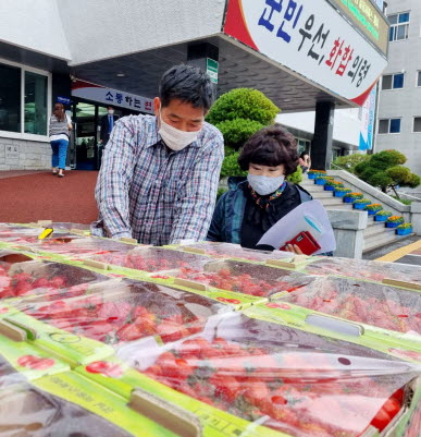 의령군 화정면, 지역농가 돕는 방울토마토 사주기 운동 나서