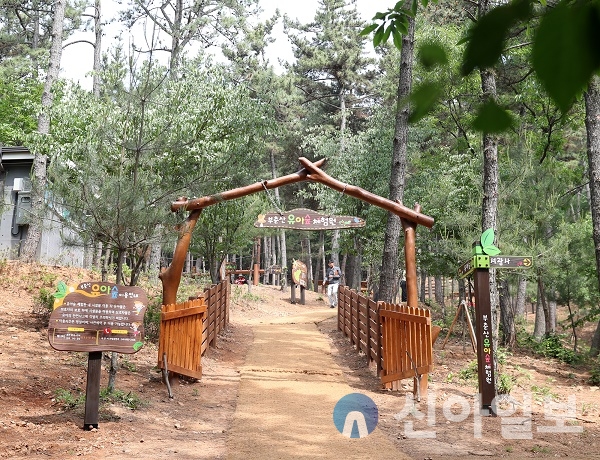 서산시 부춘산 유아숲체험원 가족 주말숲 프로그램 운영