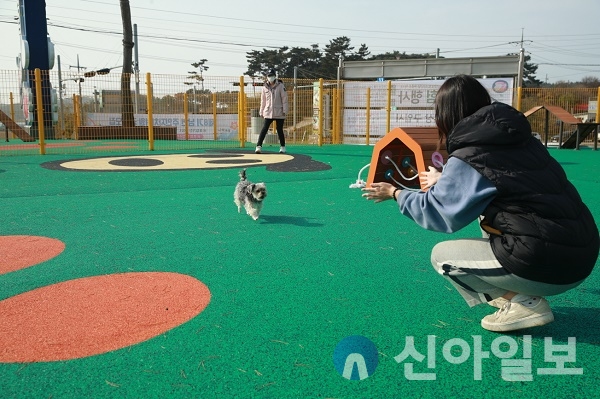 태안군, 로컬푸드 직매장 반려동물 놀이터 인기