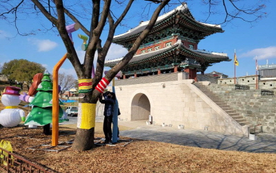 진주성 나무들, 뜨개옷으로 화려한 변신