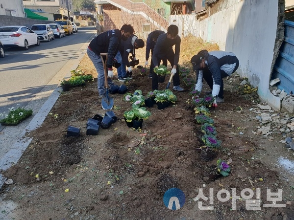 영암읍, 주요 도로·가로화단 겨울꽃 식재
