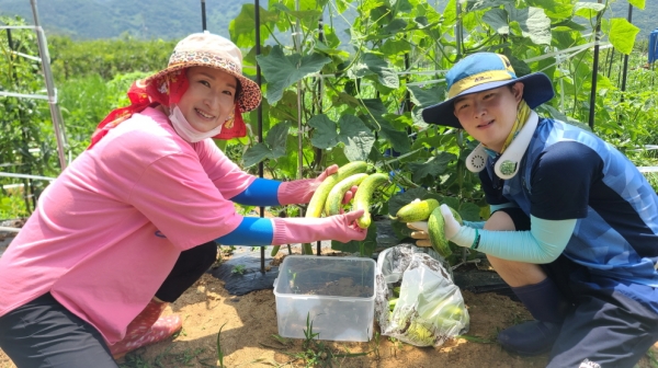 창원, 장애인 가족 대상 도시텃밭 원예활동 큰 호응