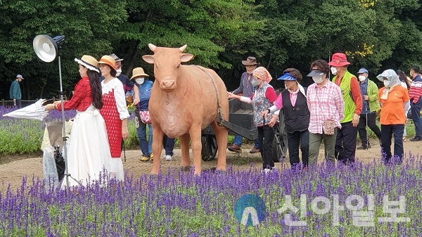 [포토] 함양 상림공원, 주말 상춘객 꽃구경