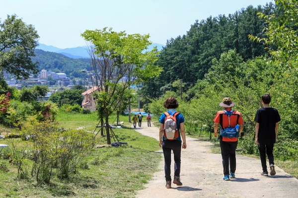 양평-헬스투어협동조합, 제1회 관광페스타 개최