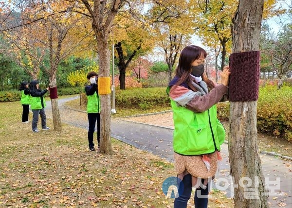 홍천군자원봉사센터와 초록발자국, 겨울나무 옷 입히기 진행