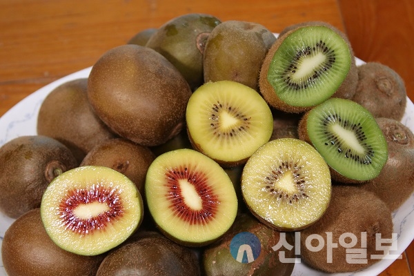 보성키위, 농산물 지리적표시 제111호 등록