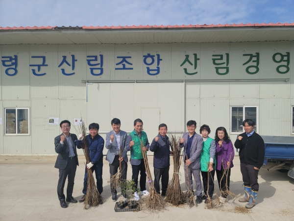 고령 산림조합, 새마을회에 묘목 기부