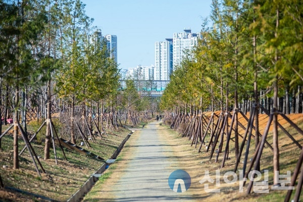 서구, 석남이음숲 내 미세먼지 차단숲 준공