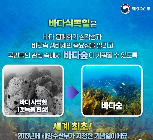 포항서 제12회 바다식목일 기념행사 열린다