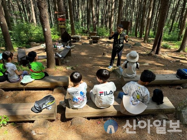 춘천시, 숲 체험 교육 대상자 성인까지 확대