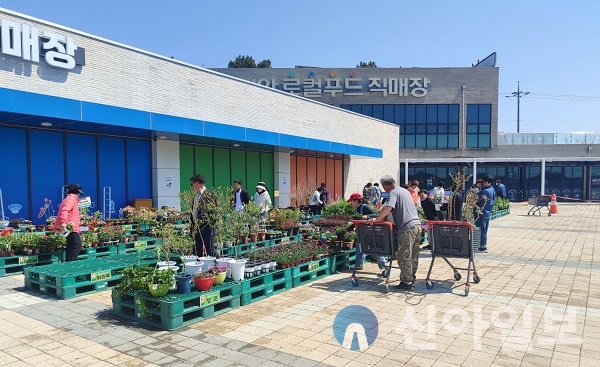 태안군, ‘태안로컬푸드 봄꽃축제’…화훼류 저렴하게 구입
