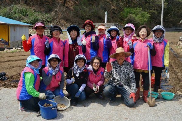 생활개선양구군聯, 취약농가 일손돕기 나서