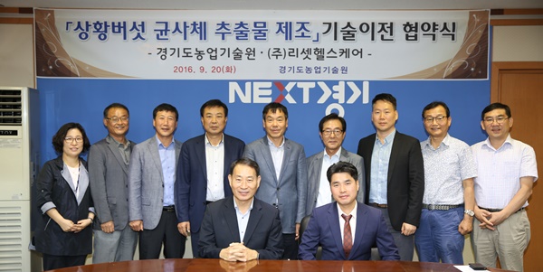 약용버섯 면역증강 성분, 값싼 균사체서 추출
