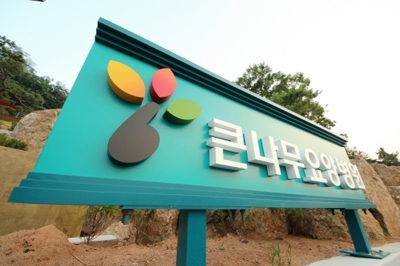 큰나무 암전문 요양병원, 재발․재활 예방하기 위해 자연 통합치료 프로그램 운영