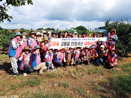 제주 고품질 감귤농업 견인한다