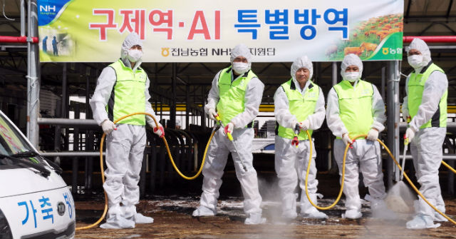 농협, 구제역 차단 위해 역량 총동원