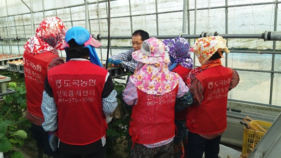 농협, 농촌고용인력지원 우수사무소 5곳 선정
