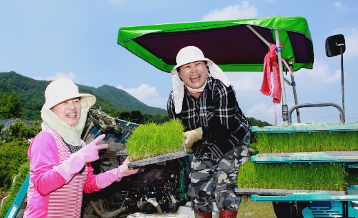 손발이 척척! 공주 들녘은 우리가~