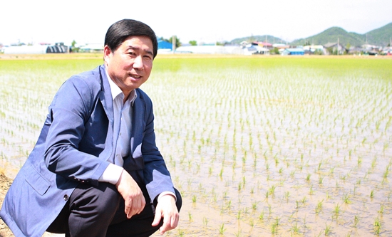 오대쌀·고향찰 이을 히트상품은…