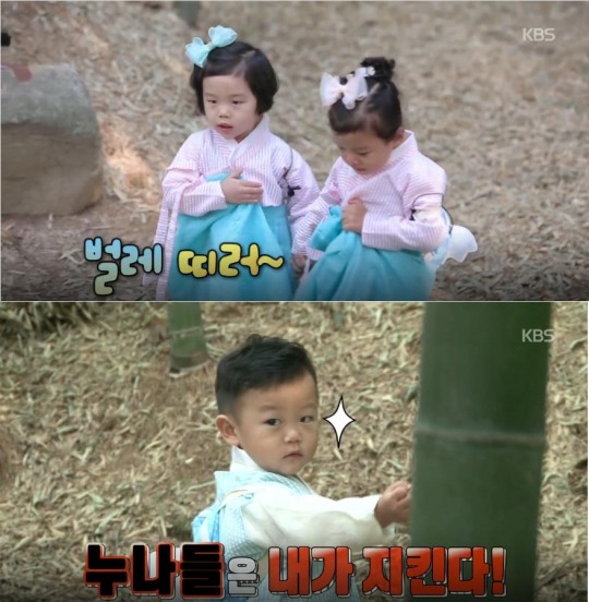 슈퍼맨이 돌아왔다 이동국 오남매네, 대박이·설아·수아 벌레야 물럿거라~야압!…대박이 여자친구·누나들 위해 태권도 배웠구나
