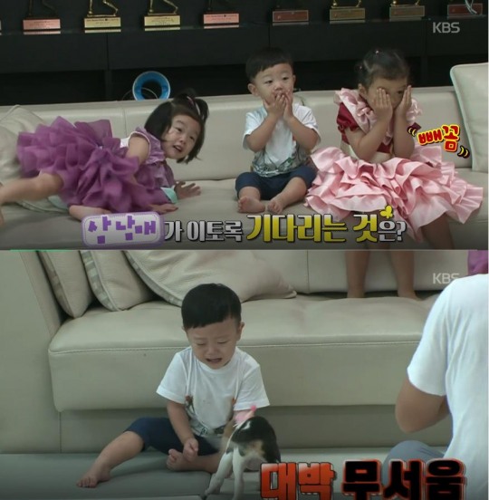 슈퍼맨이 돌아왔다 이동국 오남매네 대박이, 좋아하지만 가까이 할 수 없는 것? 그래도 집어 던지면 안돼~ 인형 아닌 진짜 강아지와의 첫 만남... 