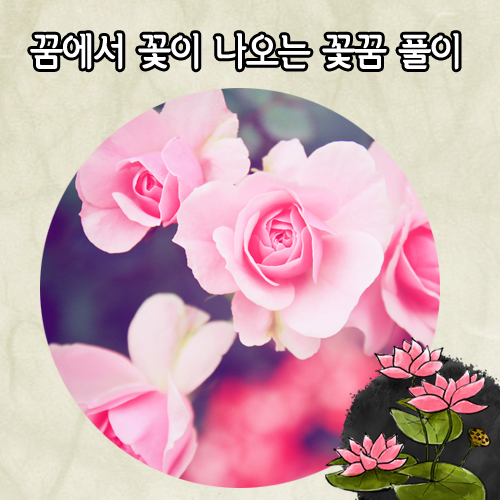 [알콩달콩 꿈해몽 꿈풀이] 꿈에서 꽃이 나오는 꽃꿈 풀이