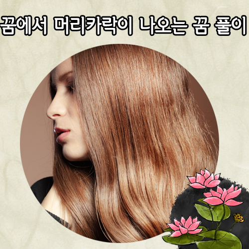 [알콩달콩 꿈해몽] 머리카락꿈…헝클어진 머리 곱게 빗는 꿈은 타인 도움받아 복잡한 일 해결