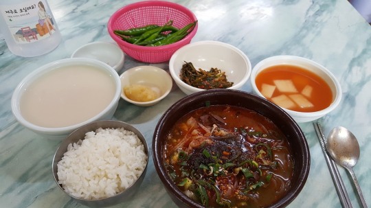 [후지니의 전국 팔도 맛집 탐방(2) 제주 미풍해장국] 제주맛 간직한 소고기해장국