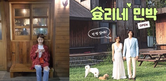 아이유도 좋아하는 효리네 민박…투숙객이 누구길래…신청자 무려 2만여명