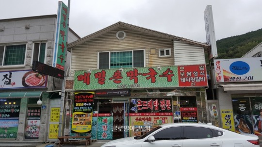 [후지니의 전국 팔도 맛집 탐방(49) 정선 메밀촌 막국수] 다시 찾고 싶은 정선 메밀촌 막국수