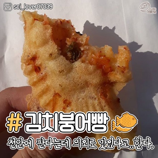 [카드뉴스] 붕어빵 어디까지 먹어봤니?…겨울 대표 간식 붕어빵의 변신